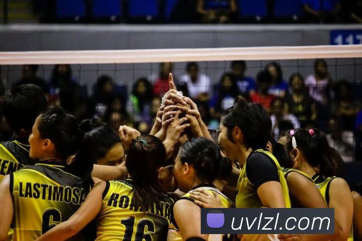 尊龙凯时APP 体育赛事宣传图